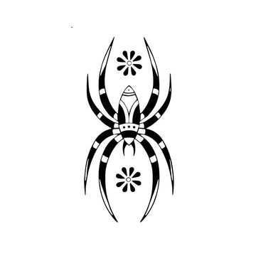 Nocturne Spider