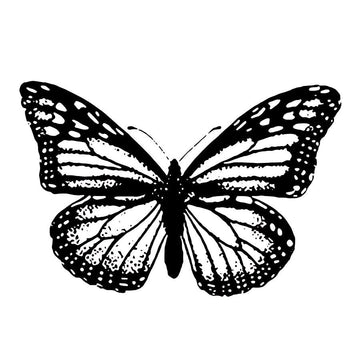 FT Wings