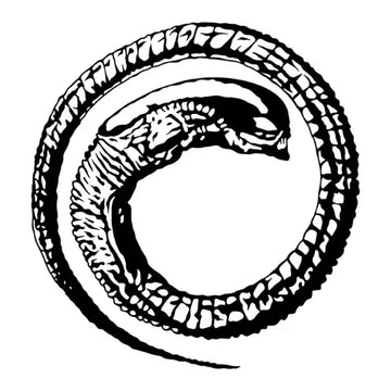 Ouroboros Snake Semi Permanent Tattoo