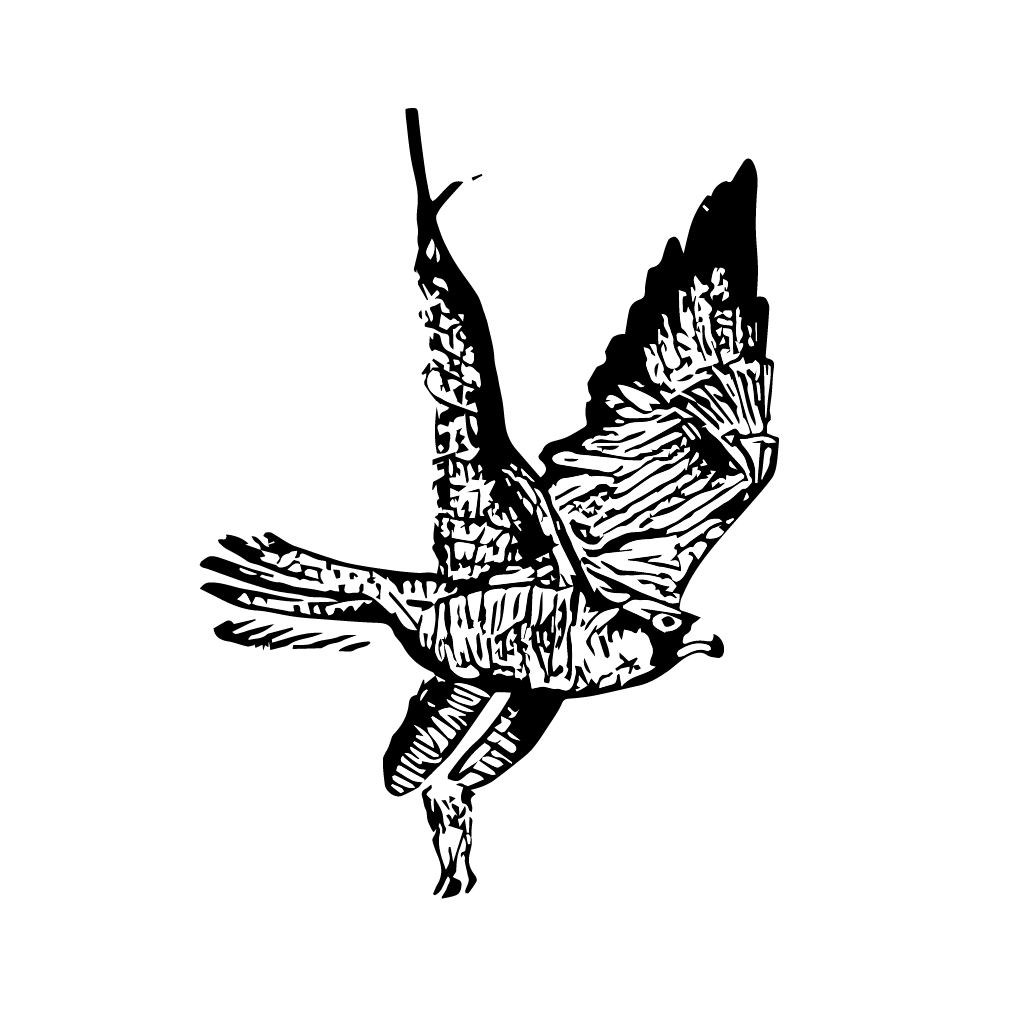 FABIOUS POMPEY - Stay Tatt | Temporary Tattoos 