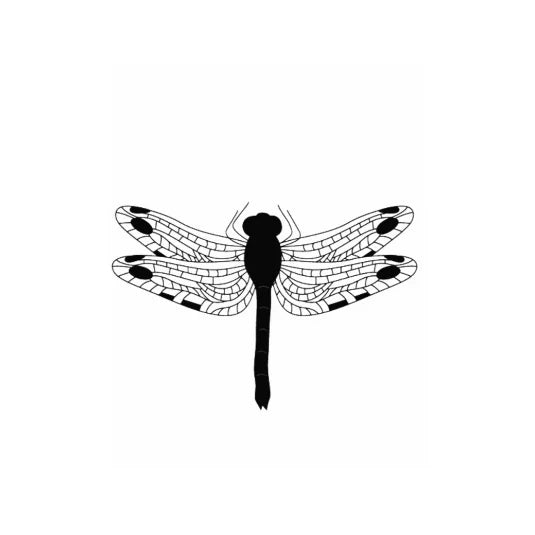 Dragonfly – Semi Permanent Tattoo