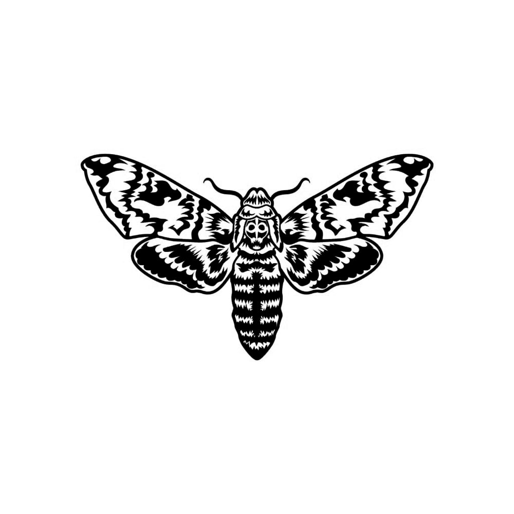 Moth