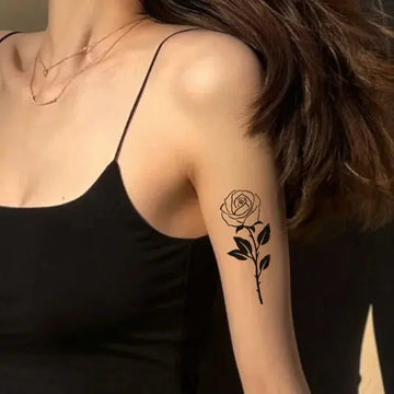 Rose Image