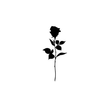 HER - BUNDLE OF 5